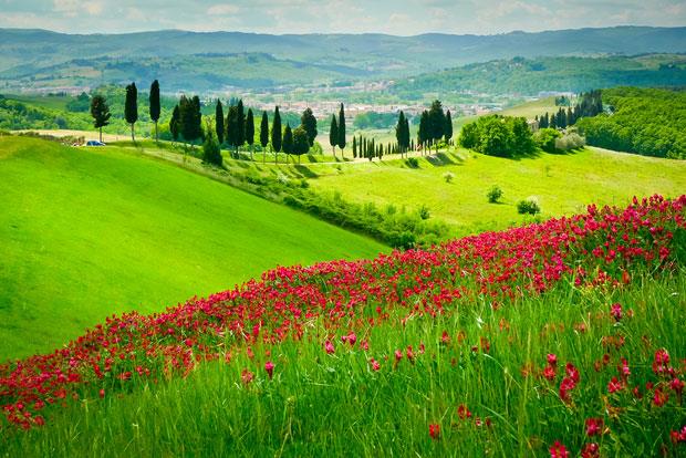 Toscanassa matkataan postikorttimaisemissa photo: Italy Magazine