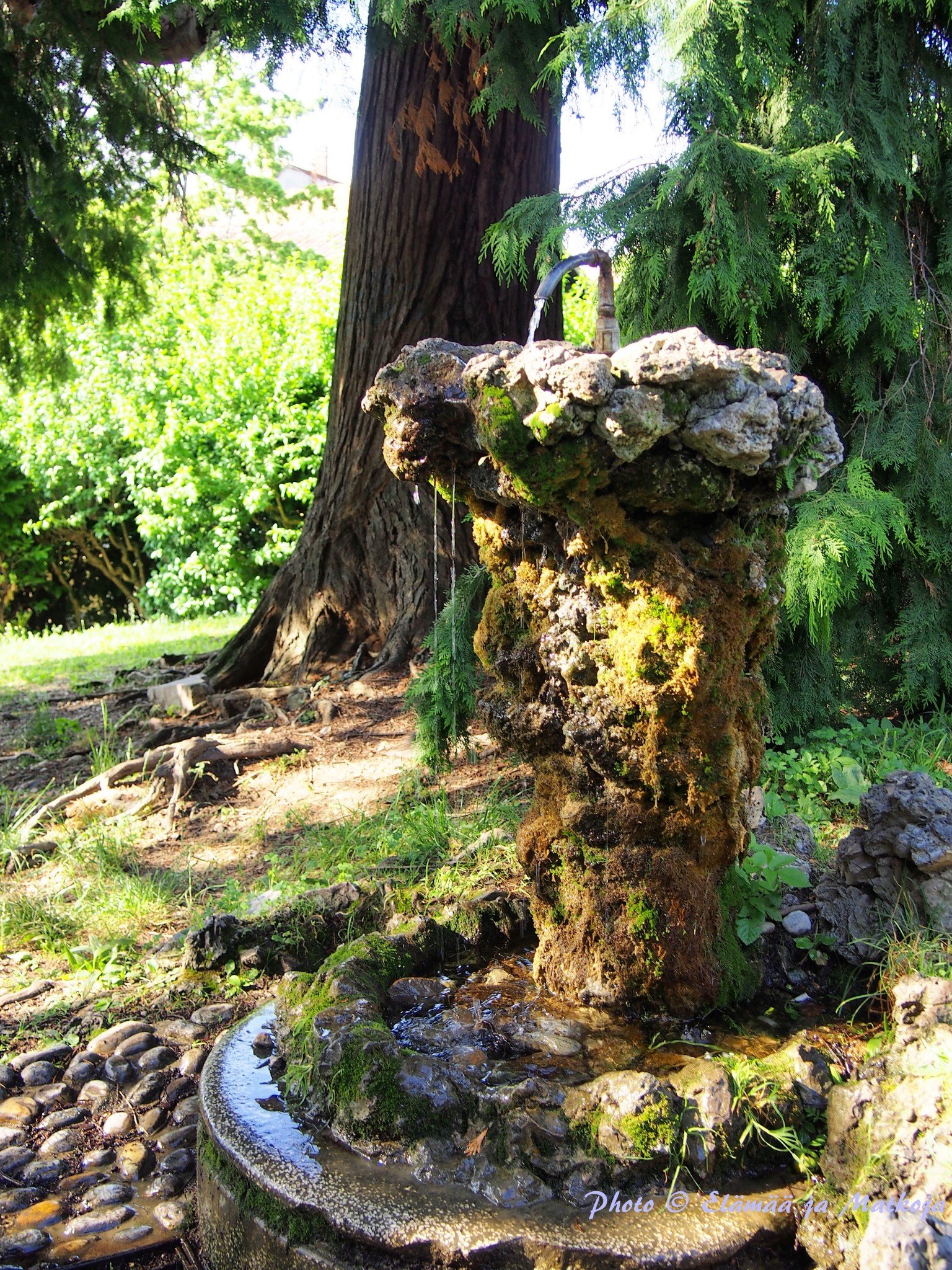 Photo © Elämää ja Matkoja