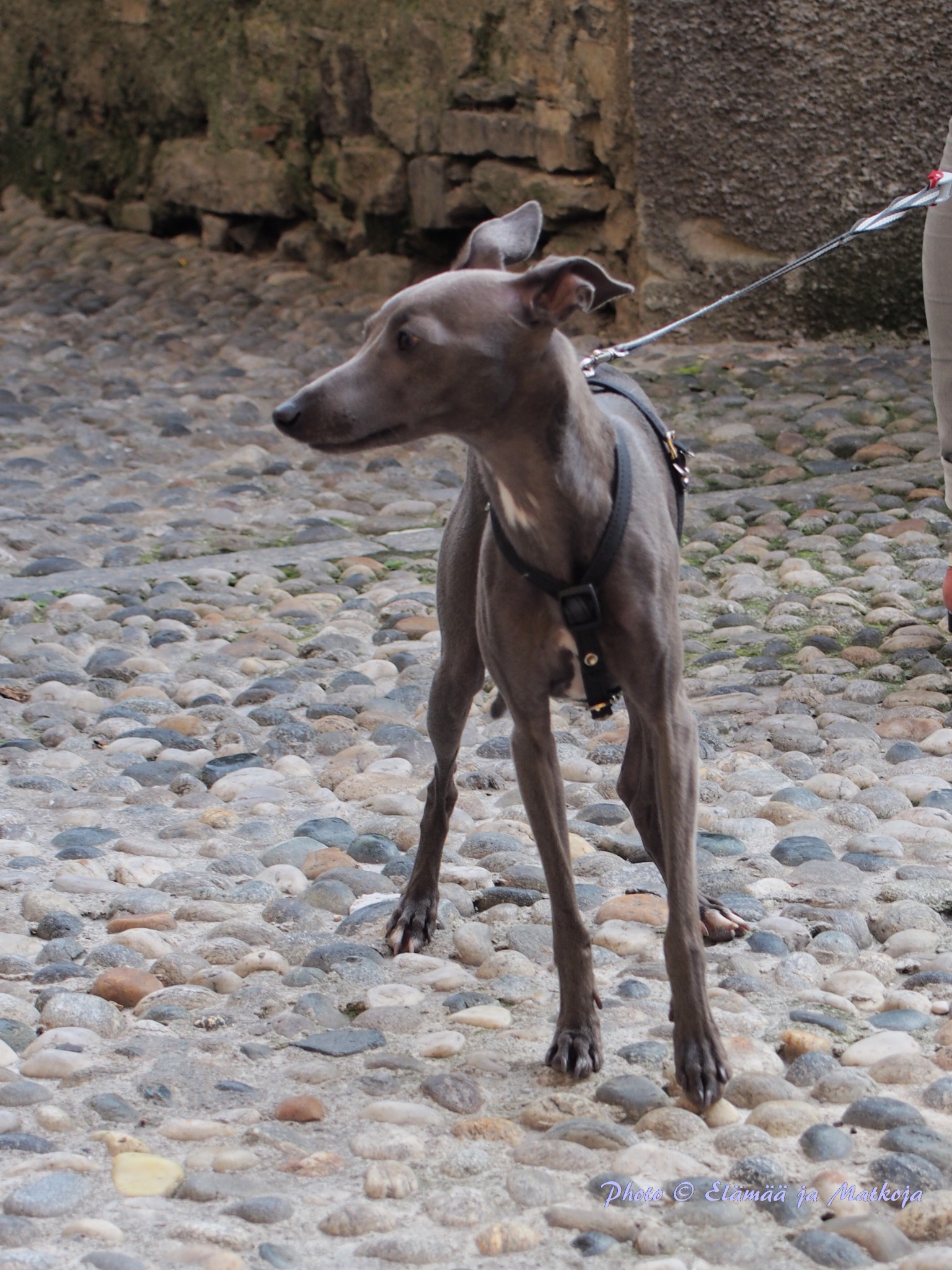 Photo © Elämää ja Matkoja