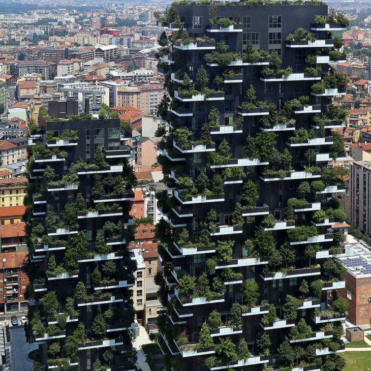Bosco vertico
